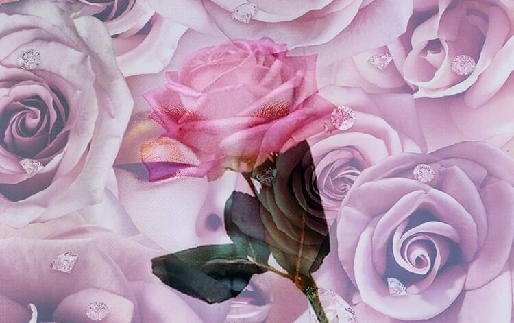 header img