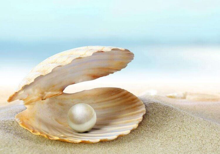 header img