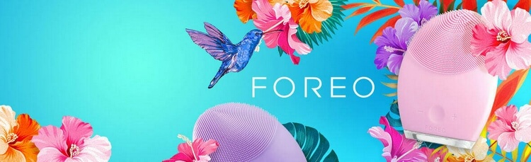 header img