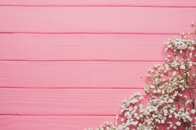 header img