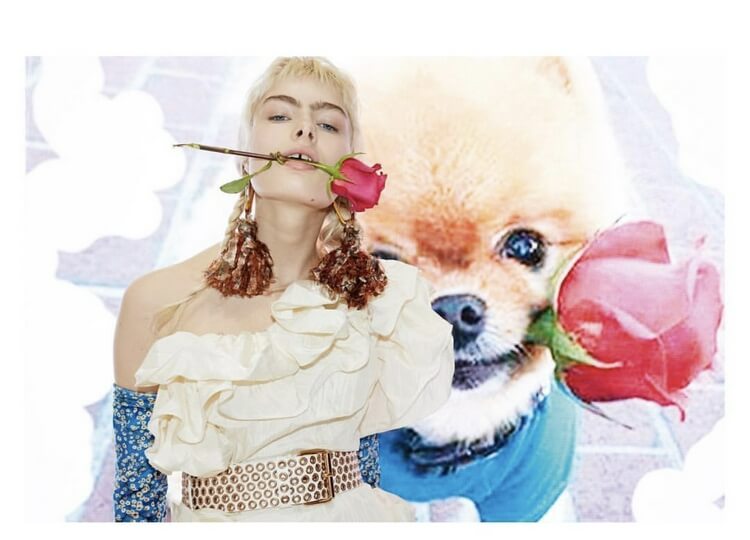 header img