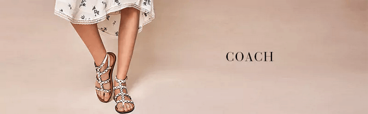 header img