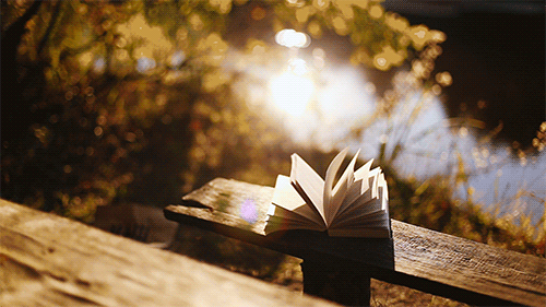 header img